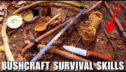 Learn 10 Beginner Bushcraft & Survival Skills!